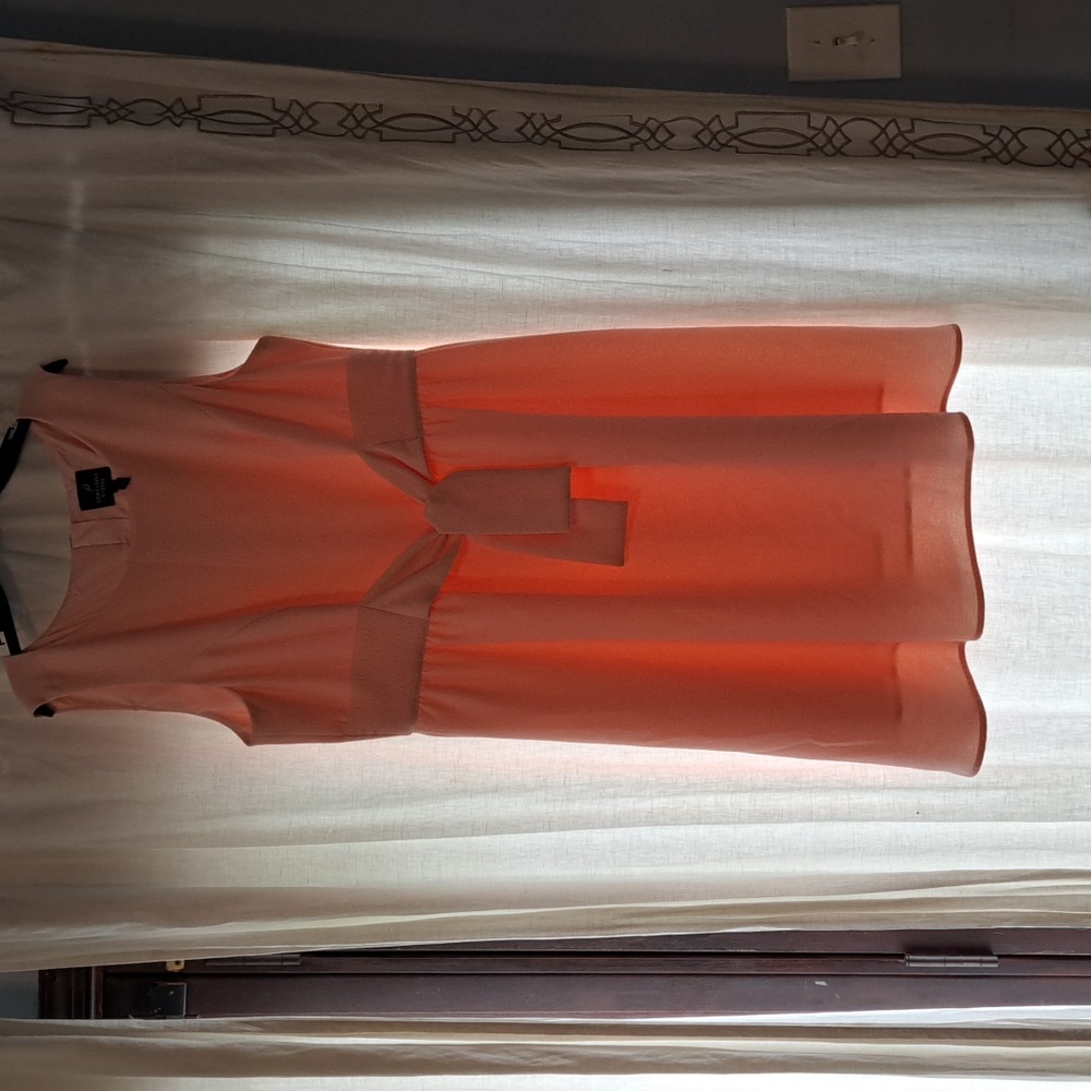 Adrianna Papell Peach Textured Dress